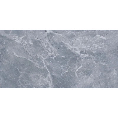 Omega Dark Grey <br> (60x120)