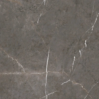 Palermo Brown <br> (60x60)