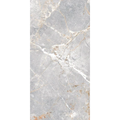 Harmony Light Grey(60x120)