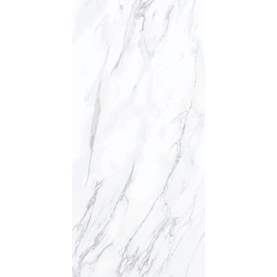 Carara White <br> (60x120)