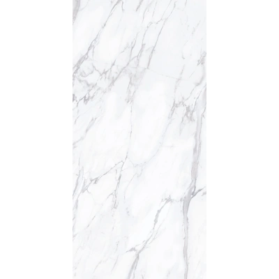 Carara White (60x120)