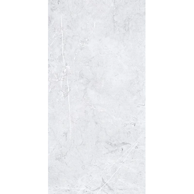 Palermo Light Grey <br> (60x120)