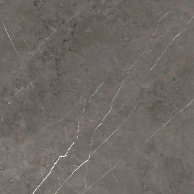 Palermo Brown <br> (60x60)