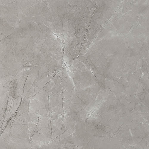 Elegant Grey (60x60)