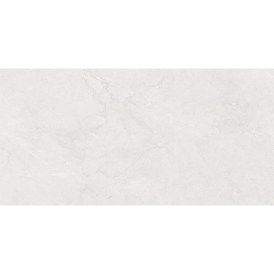 Genova Light Grey (60x120)