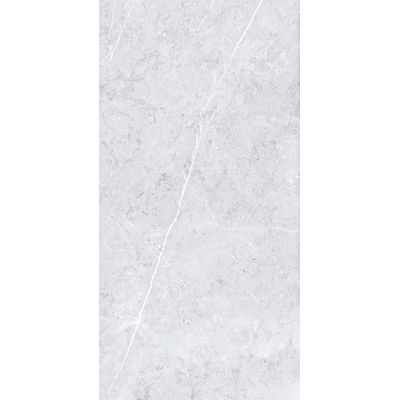 Palermo Light Grey <br> (60x120)