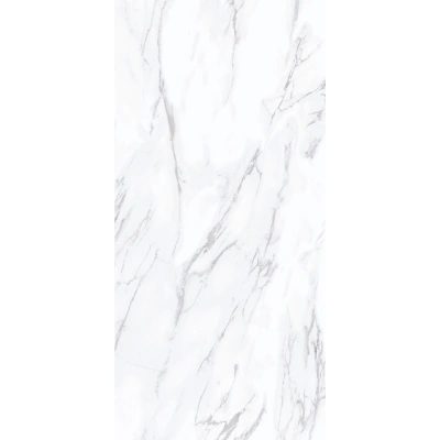 Carara White <br> (60x120)