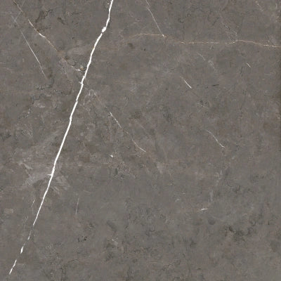 Palermo Brown <br> (60x60)