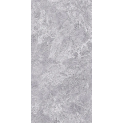 Silver Grey <br> (60x120)