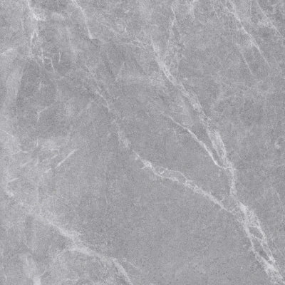 Senfoni Mat Light Grey <br> (60×60)