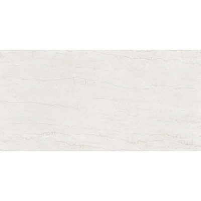 Portland Bone <br> (60x120)