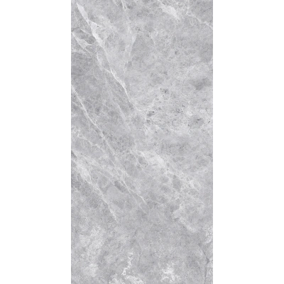 Silver Grey <br> (60x120)