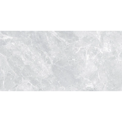 Omega Light Grey <br> (60x120)