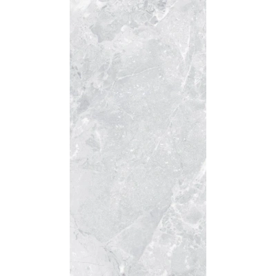 Omega Light Grey <br> (60x120)