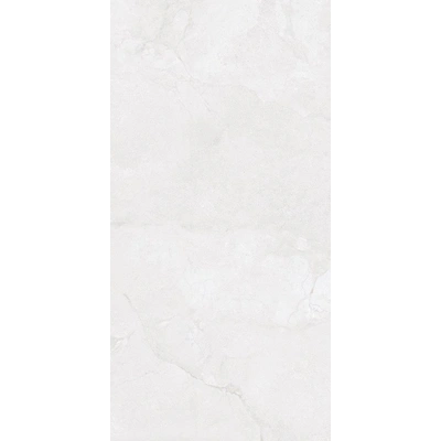 Metropolis Fog <br> (60x120)