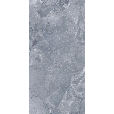 Omega Dark Grey <br> (60x120)