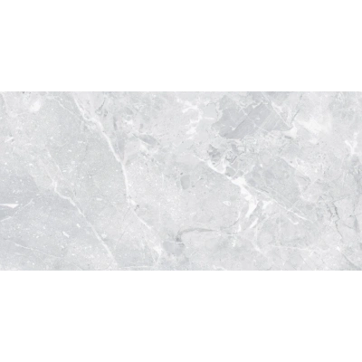 Omega Light Grey <br> (60x120)