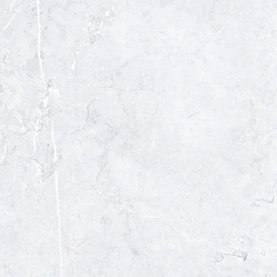 Palermo Light Grey <br> (60x60)