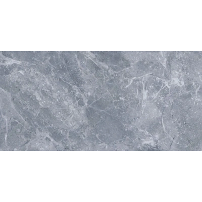 Omega Dark Grey <br> (60x120)