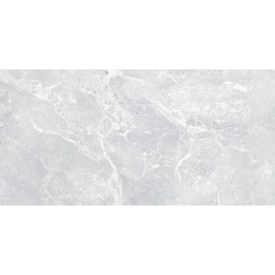 Omega Light Grey <br> (60x120)