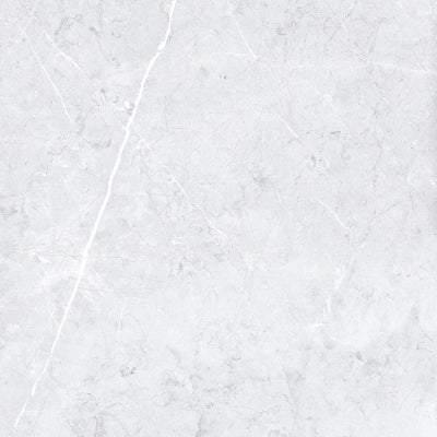 Palermo Light Grey <br> (60x60)