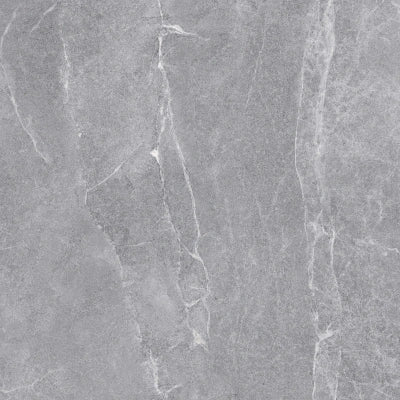 Senfoni Mat Light Grey <br> (60×60)