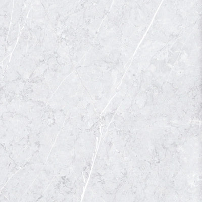 Palermo Light Grey <br> (60x60)