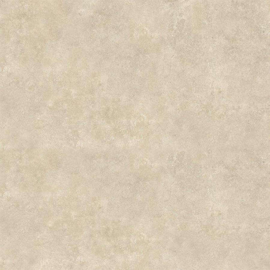 Arcides Lattes <br> (60x60)